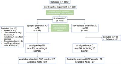 CSF in Epileptic Prodromal Alzheimer's Disease: No Diagnostic Contribution but a Pathophysiological One